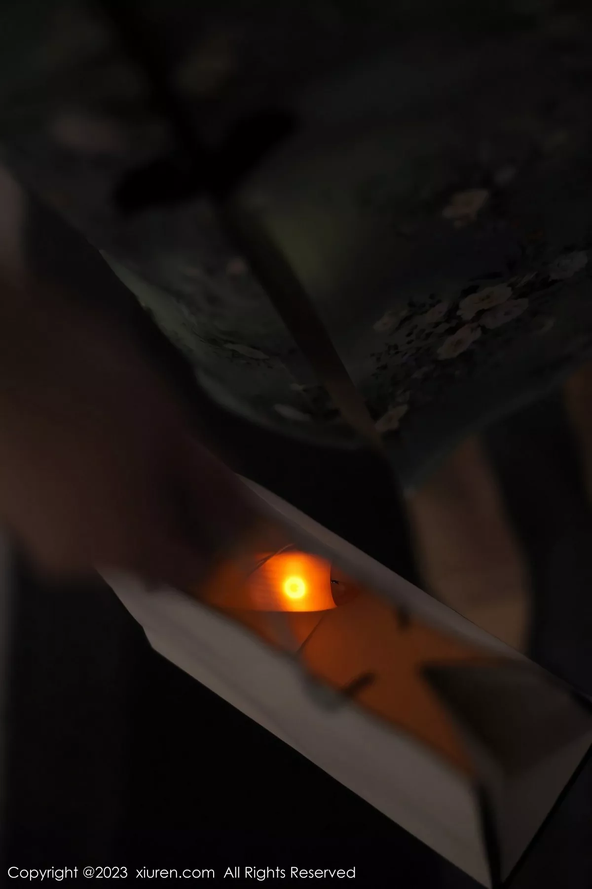 秀人集.com_[XiuRen秀人网]No.6464_模特Arude薇薇绿灰色旗袍露黑色蕾丝内衣秀曼妙身姿诱惑写真69P