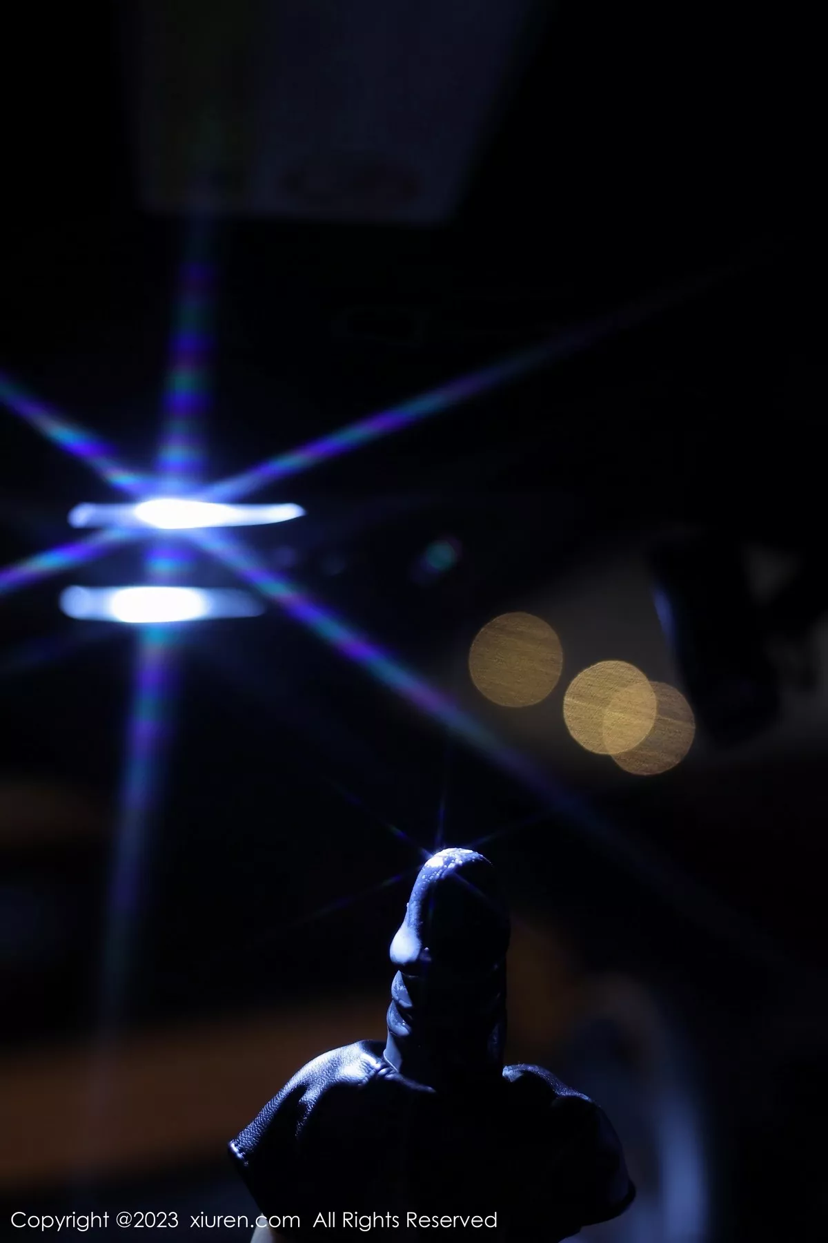 秀人集.com_[XiuRen秀人网]No.6650_模特江真真性感黑色薄透情趣内衣配黑丝吊袜秀惹火身材诱惑写真88P