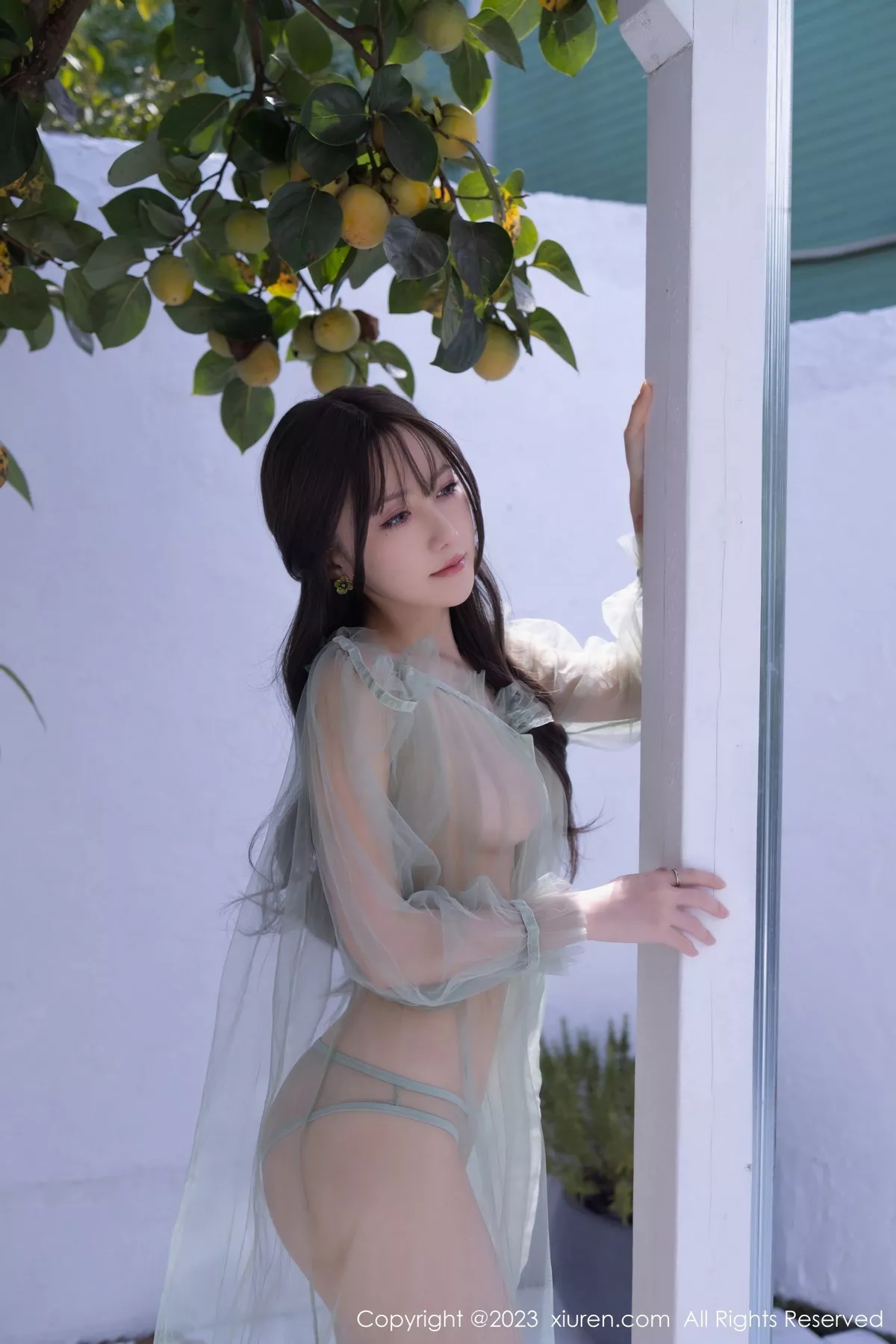 秀人集.com_[XiuRen秀人网]No.7614_模特鱼子酱Fish性感淡绿色薄纱裙透视秀惹火身材撩人诱惑写真80P