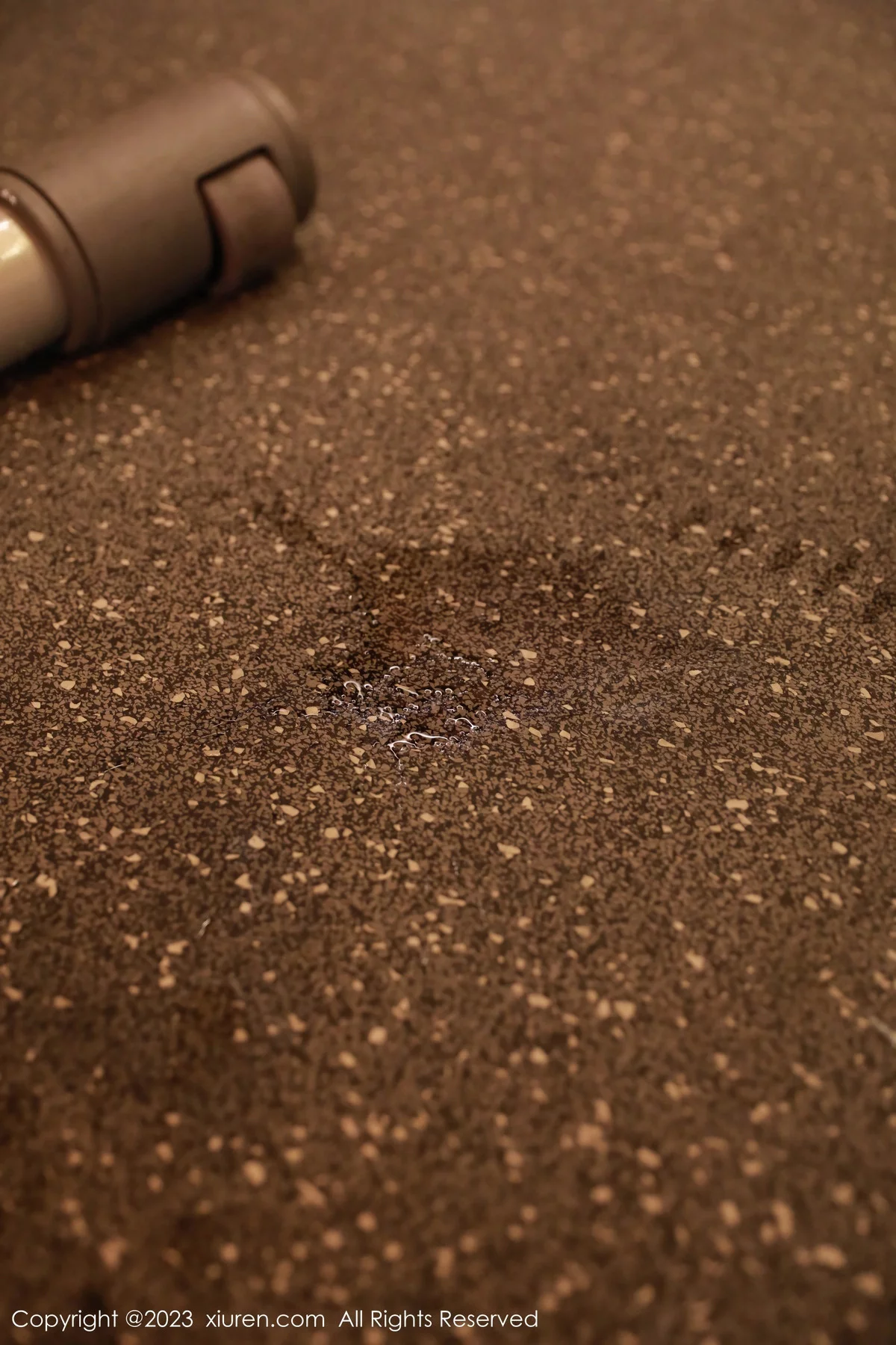 秀人集.com_[XiuRen秀人网]No.7821_新人模特小薯条nienie健身房性感浅色运动服秀完美身材诱惑写真71P