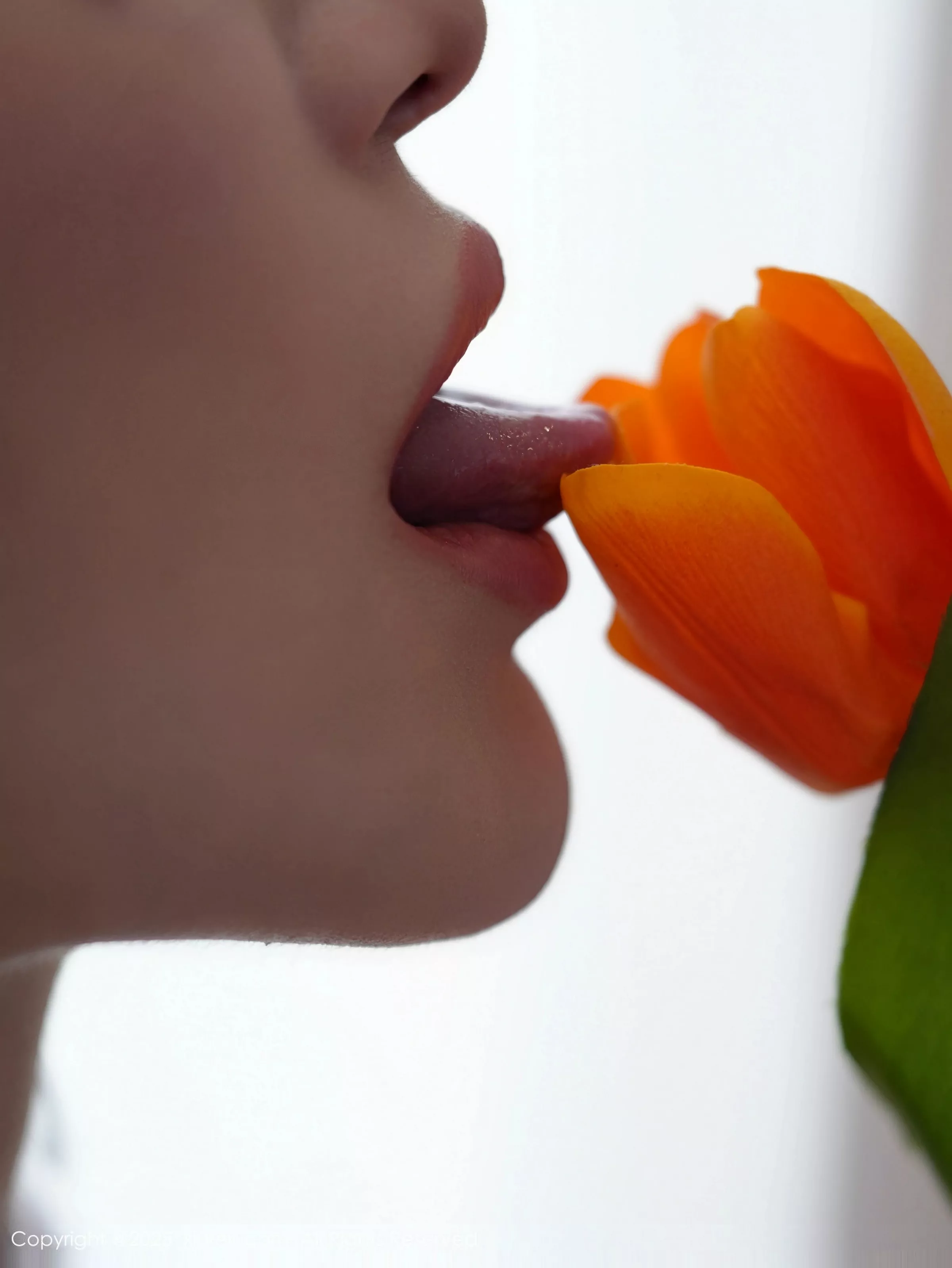 秀人集.com_[XiuRen秀人网]No.10416_模特白露lulu性感粉色情趣内衣配白色丝袜秀曼妙身材诱惑写真85P